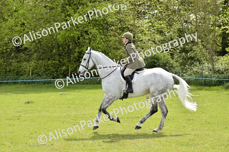 20260426-3703 - Class 22 - Working Hunter