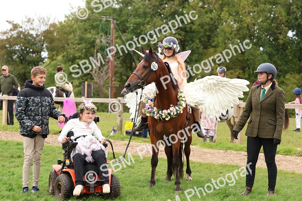 SBM_62191 - S37b - Best Unicorn