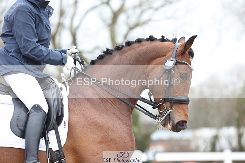 240121A-140314-01775 - Cls 14 Adv Medium 98