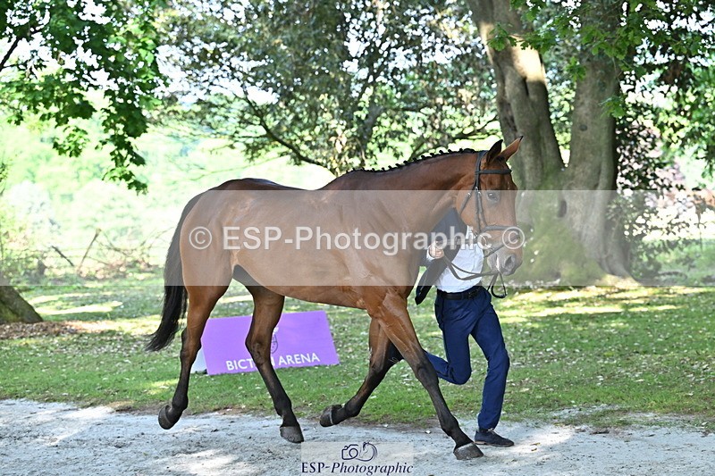 250521A-162124-01083 - C-216-Harrison.Chart-MY.KIND.OF.LADY