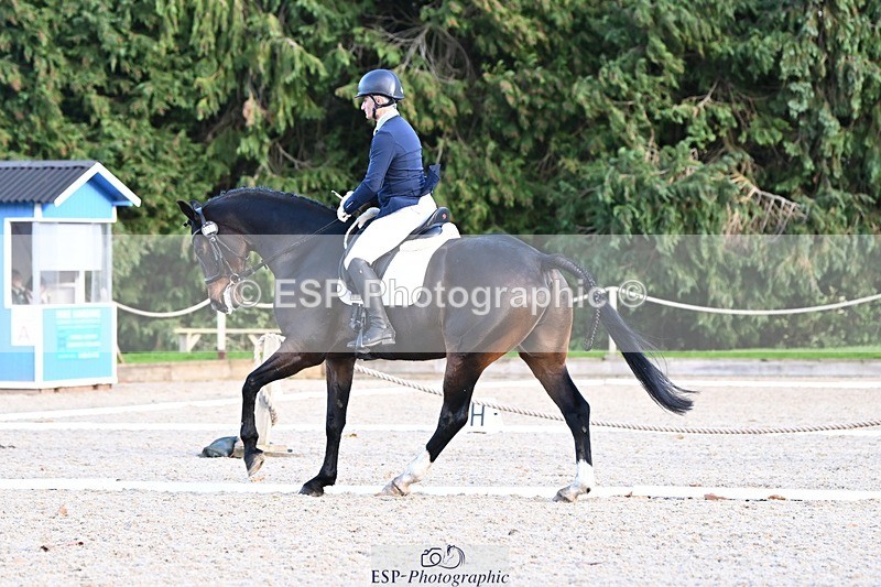 231110-134108-01023 - Cls 4 Novice 39Q