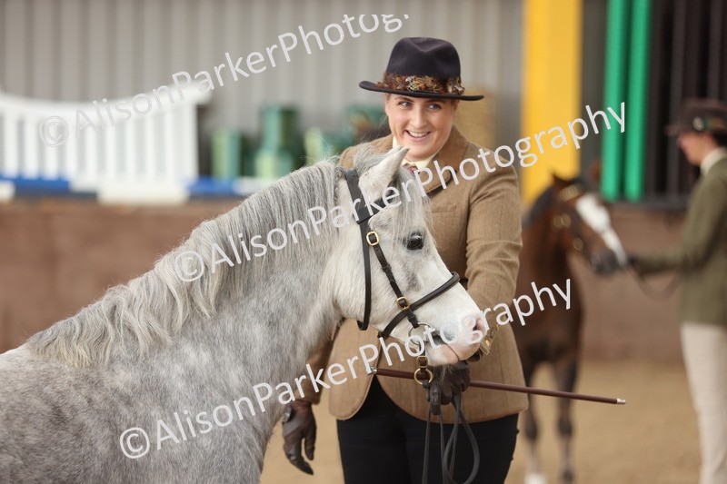 20251109-0636 - Class 22 - Geldings 4 Years and over