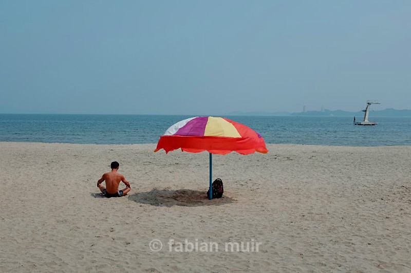 Fabian Muir DPRK