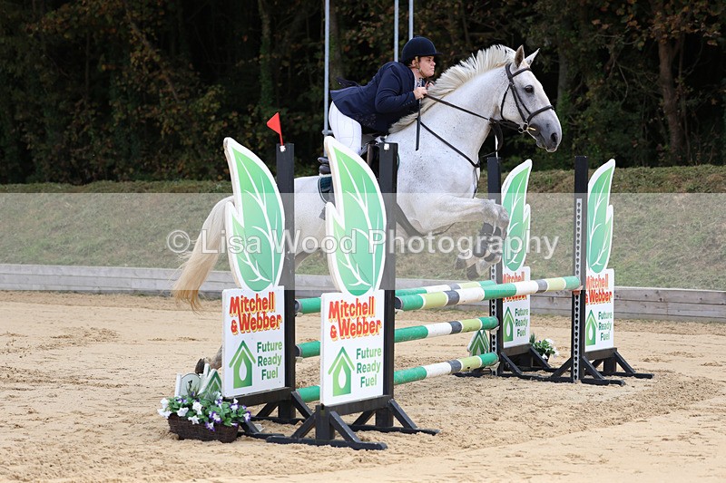 3E7A2003 - Class 4: Senior British Novice/90cm open