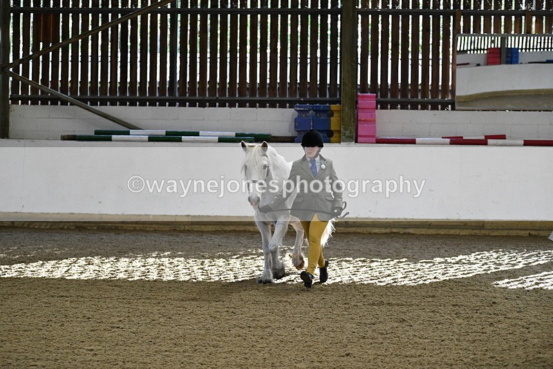 WJ5_3546 - Class 5 In Hand Veterans