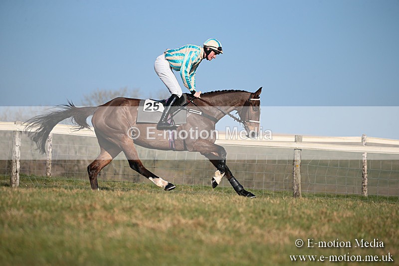 PtP 230219 385 - Vine & Craven Point-To-Point - Barbury 23/02/19