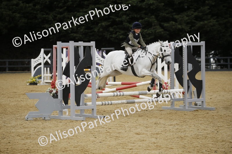 20250622-5897 - 60cm