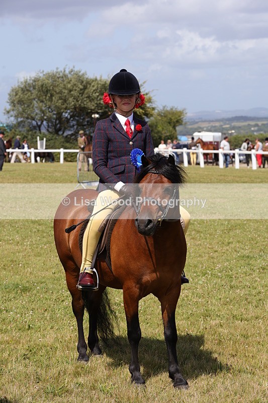 1X9A5451 - Class 37: NPS M&M First Ridden