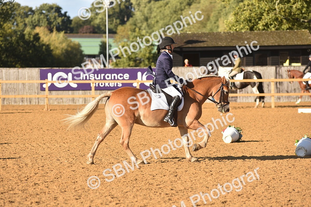 SBM_11415 - D28 - Elementary