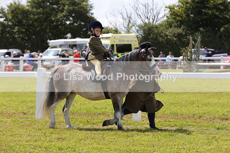 1X9A5039 - Class 36: NPS M&M Lead Rein