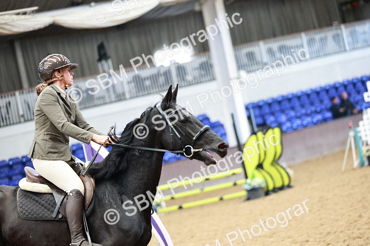 SBM_000170 - Class 1 - Clear Round Show Jumping 80cm