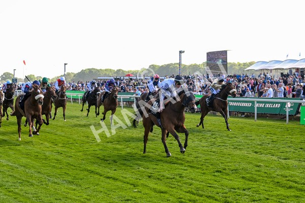 160525-Race 5-The Man-7024 - Race 5 4.15pm Irish Thoroughbred Marketing Handicap