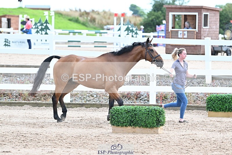 240717A-143840-02161 - Trot Up 2pm to 3pm - This folder is not in time order