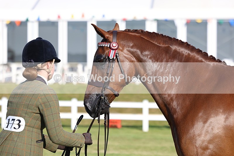 3E7A5133 - Class 1: Rising Star Small Hack/Riding Horses