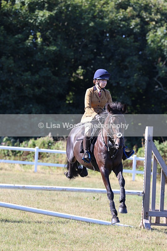3E7A5477 - Class 3: Working Hunter 70cm