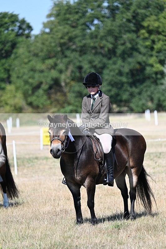 WJ7_4205 - Class 9 Mountain & Moorland Ridden