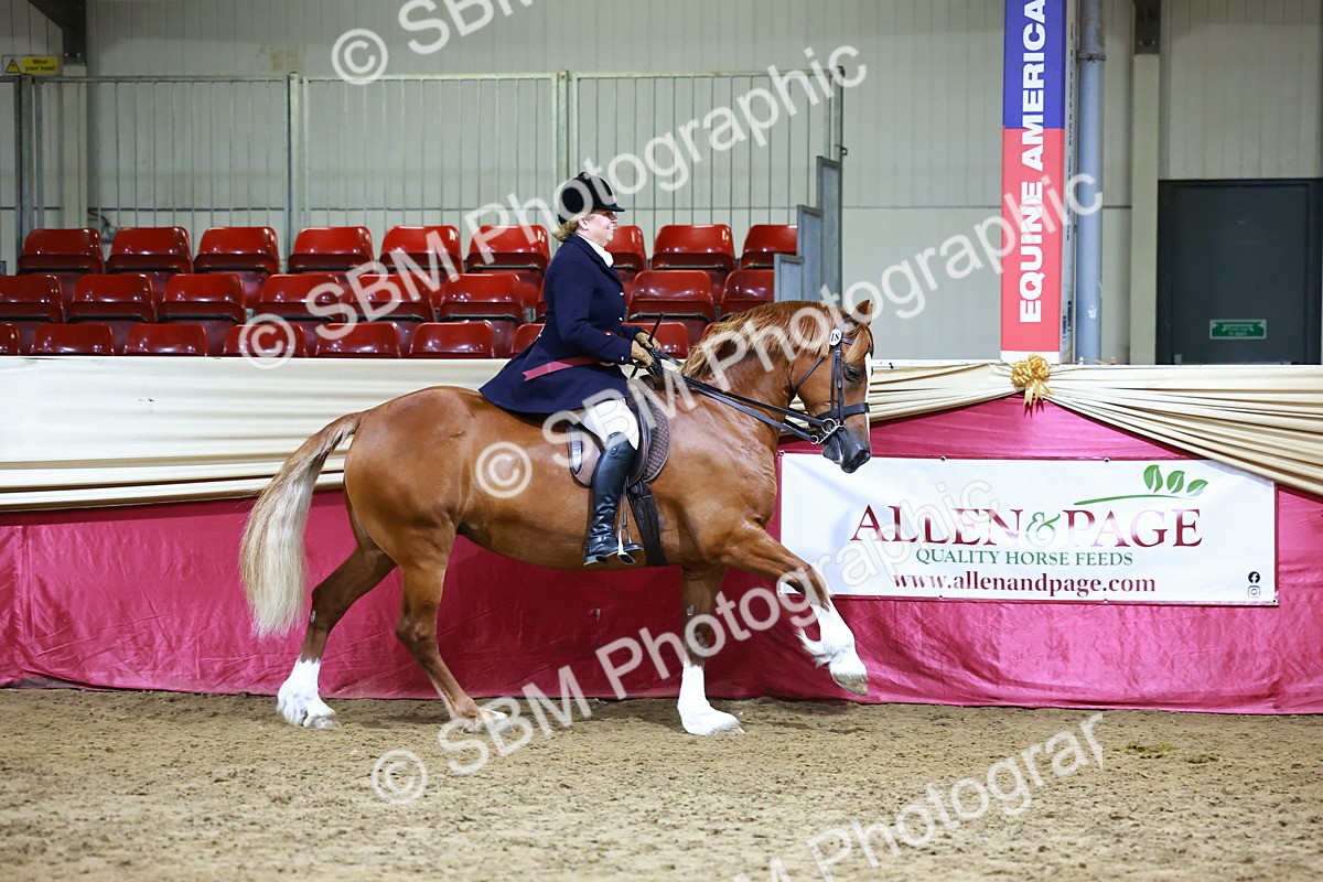 SBM_23586 - class 906 - Supreme Final - Ridden Pre Vet