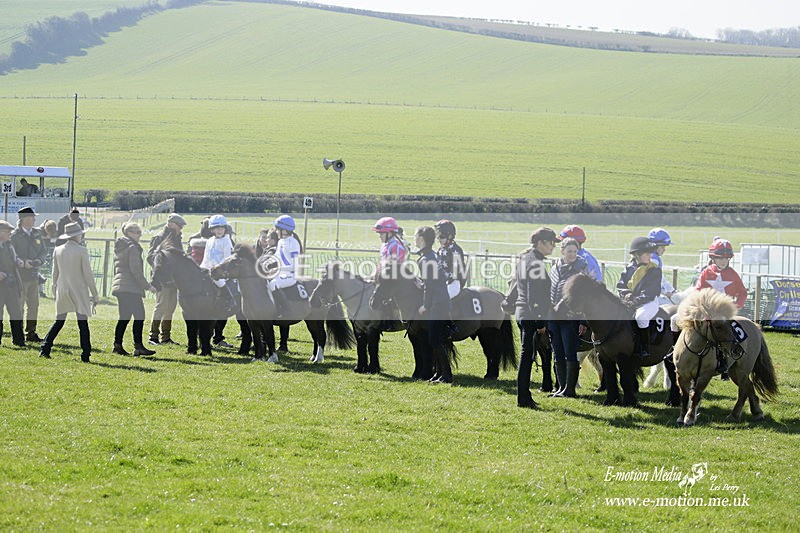 PtP 190322 98 - Wilton Hunt PtP Milborne St Andrew 19/03/22