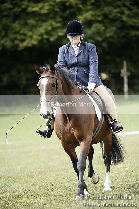 BVR080918 176 - BVRC Novice Dressage & CR 08/09/18