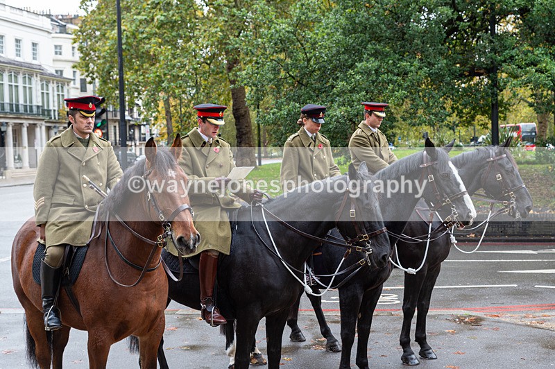 NGP_7119 - Animals In War Memorial - 10-11-23