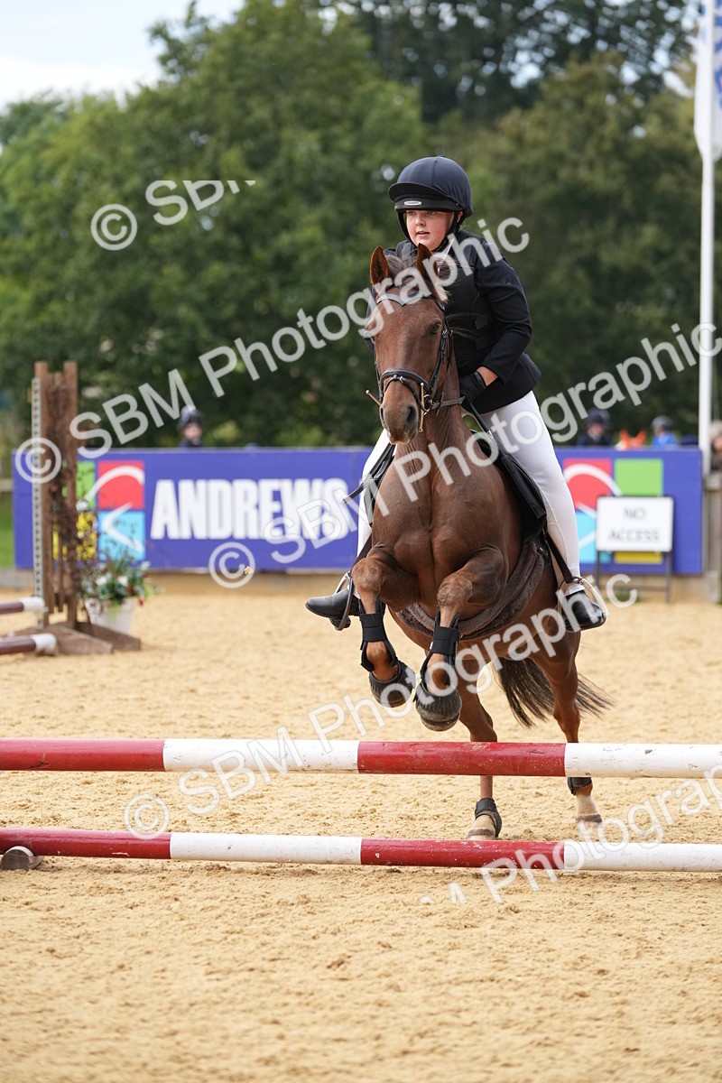 SBM_74733 - J4 - Mini Tour Junior Pony 45cm Championship