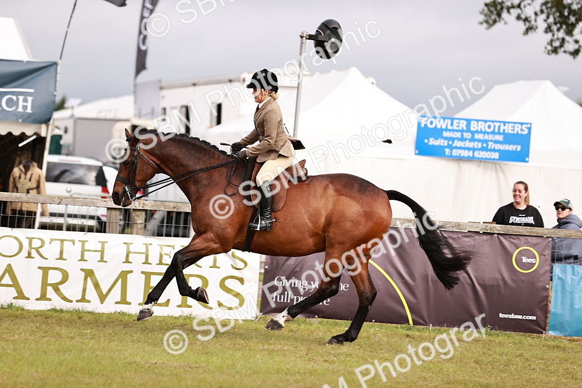 SBM_10869 - Class 81-84 - RIHS Ridden hunters Inc Ladies Hunter
