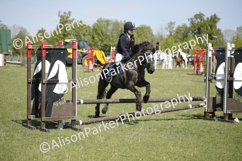 20250427-2017 - Class 13 - Novice Jumping 60cm