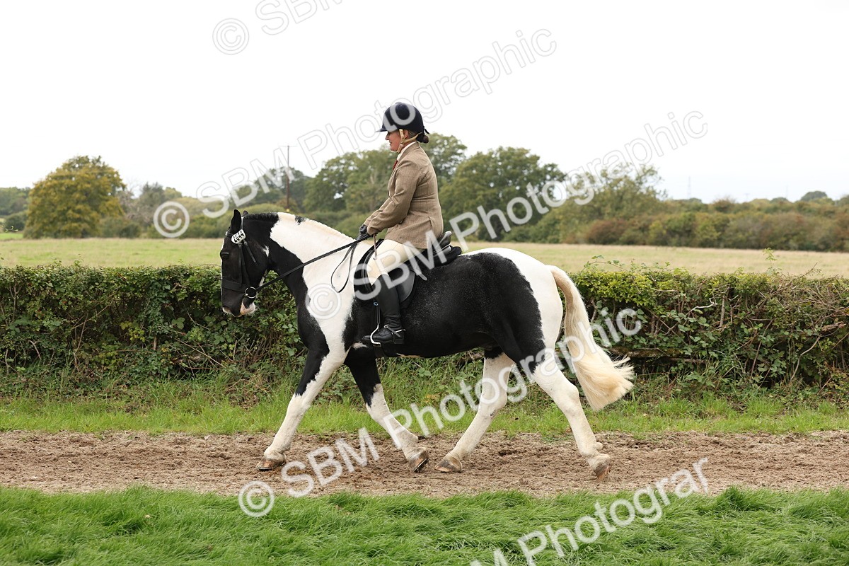 SBM_67265 - S67 - Piebald & Skewbald Horse Ridden