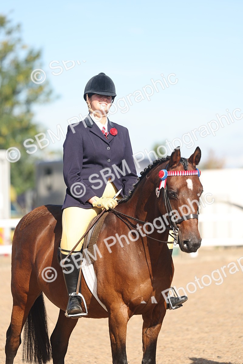 SBM_12368 - Class 304 - Ridden part Bred Horse Pony