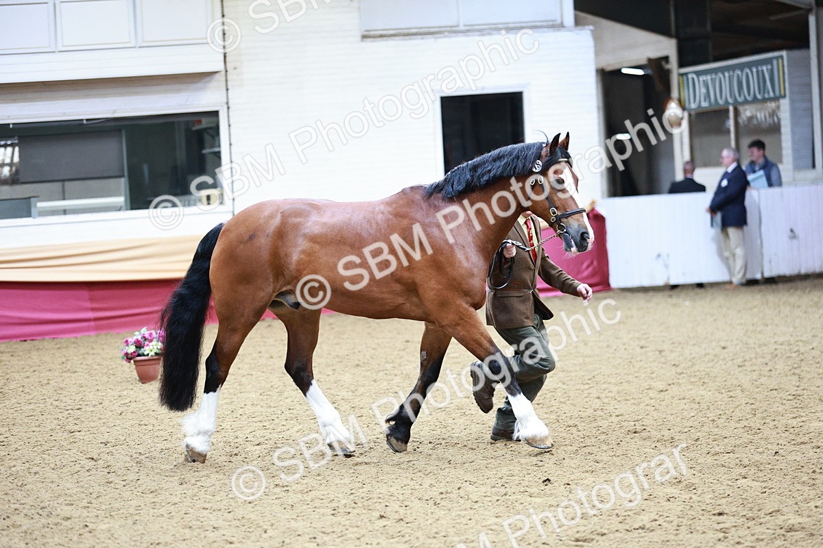 SBM_01154 - Class 3A - Area IH Pre-Vet