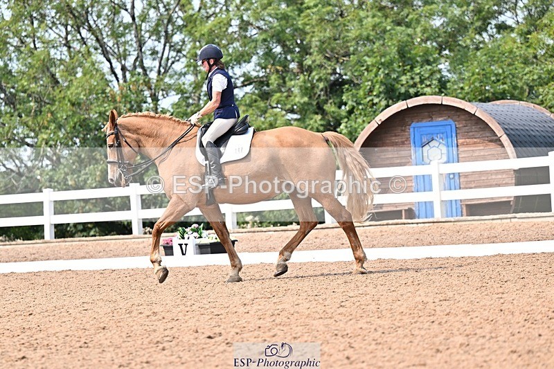 250816-142738-05363 - 147-Gill.AmosCoille.Mor.Pearl