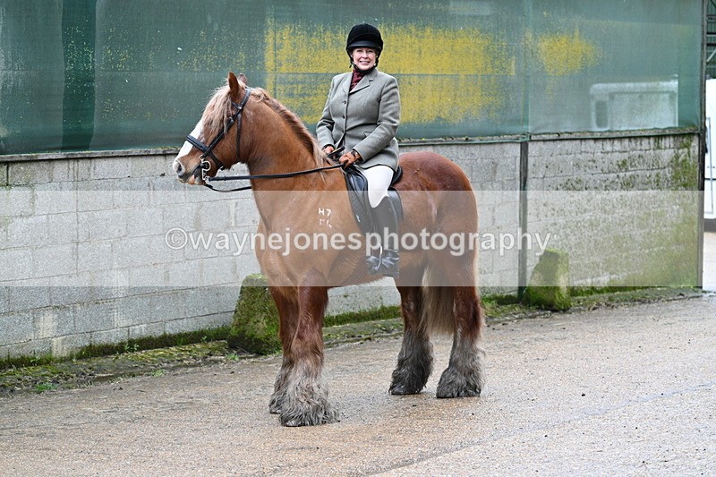 WJ7_8710 - Berks & Bucks - Rowles Farm 15-02-26