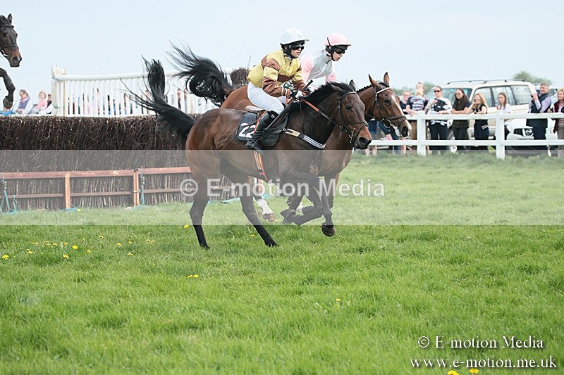 PtP 210418 199 - South & West Wilts Point-to-Point Larkhill 21/04/18