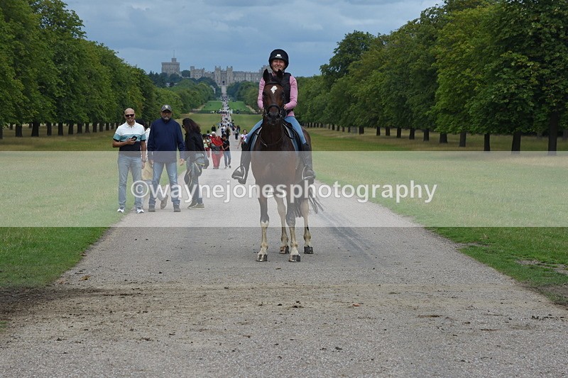 TT3_9773 - Time at Crossing 11:28 to 13:16