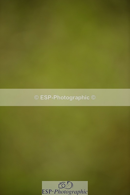 240523B-121200-02168 - 5 Year Old