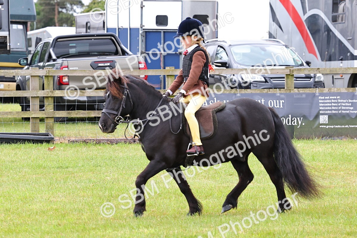 SBM_08672 - Class 42-43 - LIHS BSPS Heritage Working Sports Pony