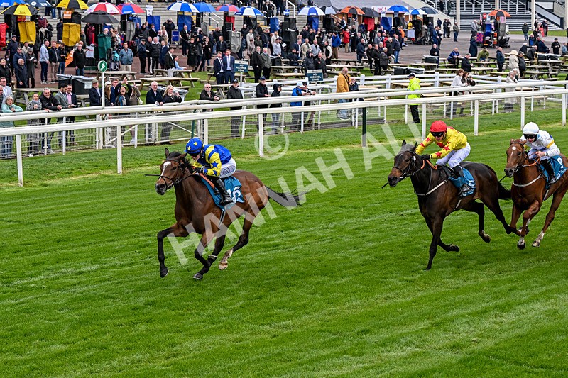 130526-Race 6-Startled-0372 - Race 6 4.40pm Conundrum HR Consulting Handicap