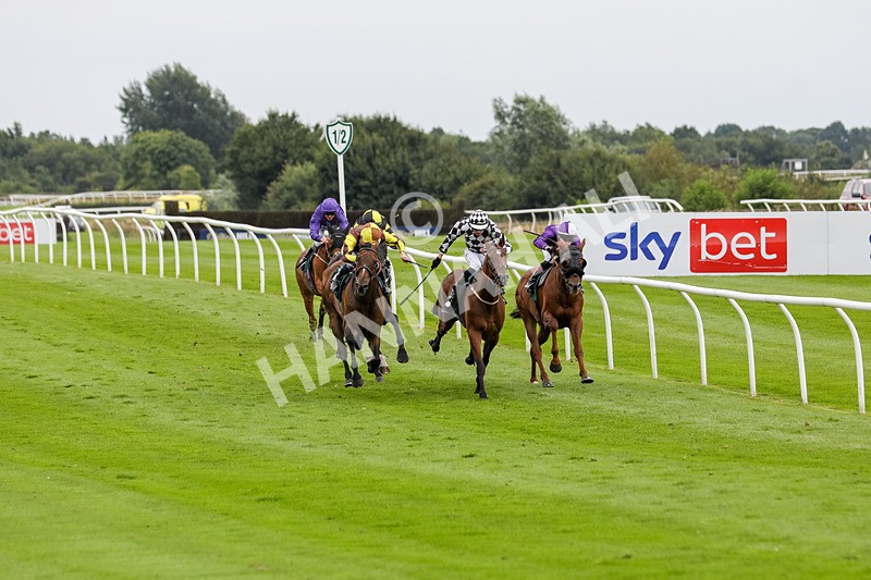 240724-Race 5-Furzig-3595 - Race 5