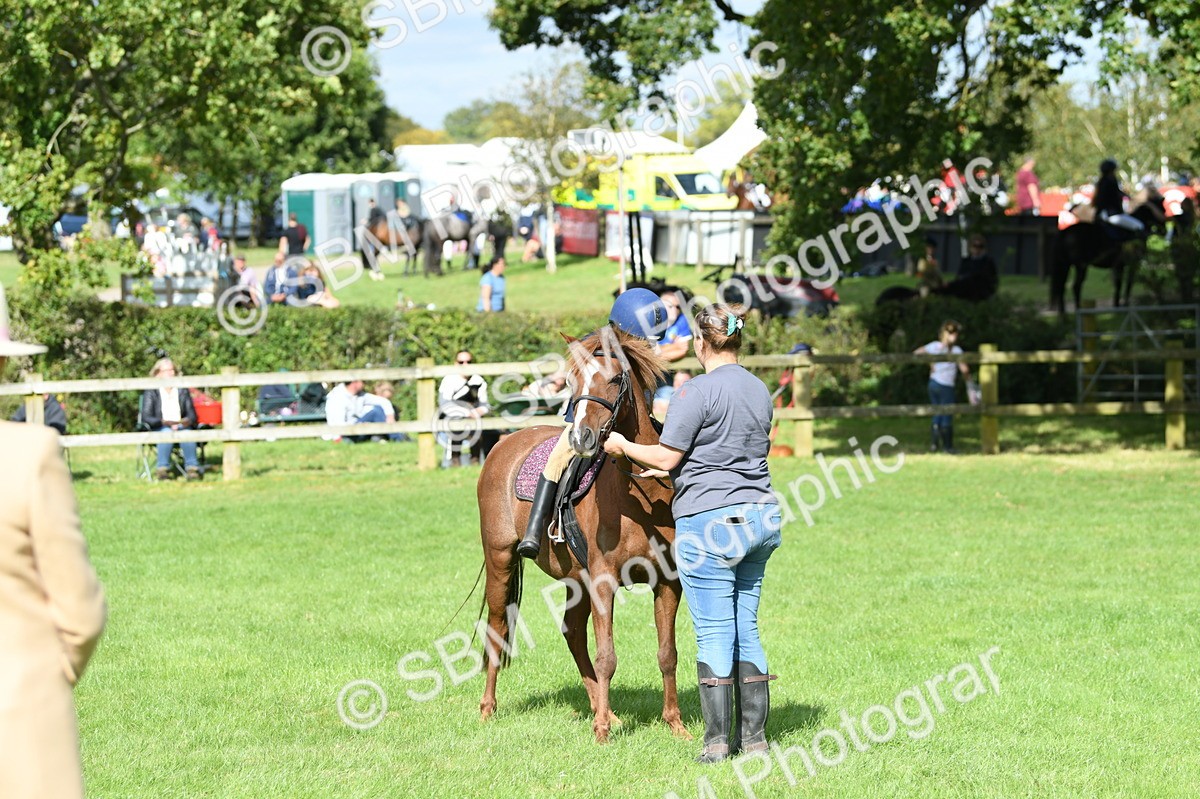 SBM_47165 - S12 - Family Horse & Pony