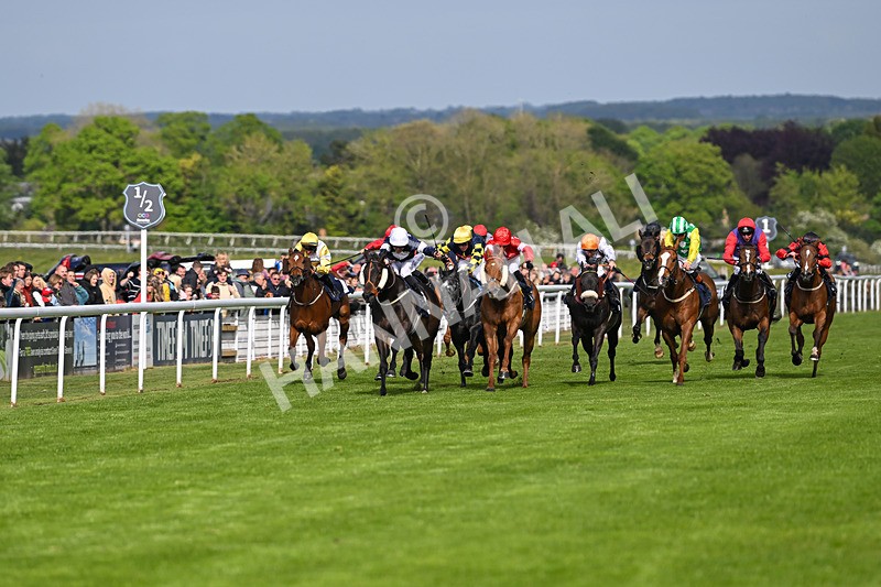 050525-Race 5-Hover On The Wind-4932 - Race 5