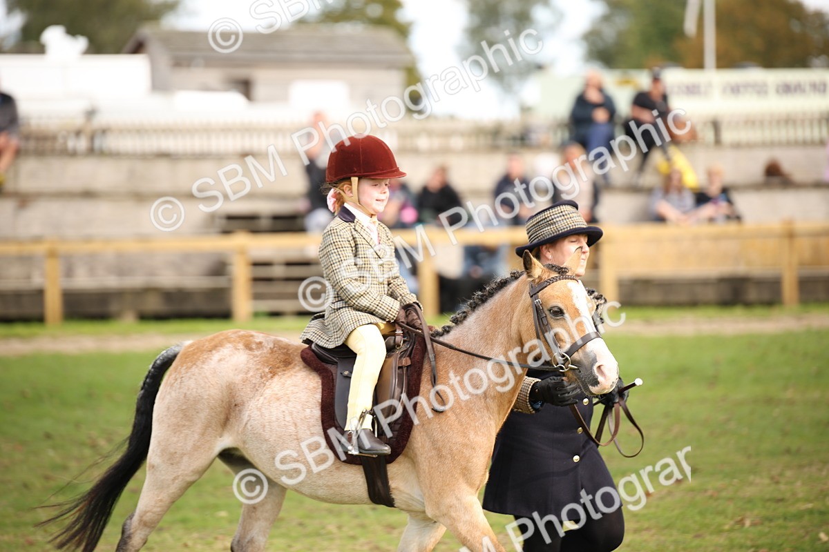 SBM_50020 - S26 - Young Veteran - Ridden