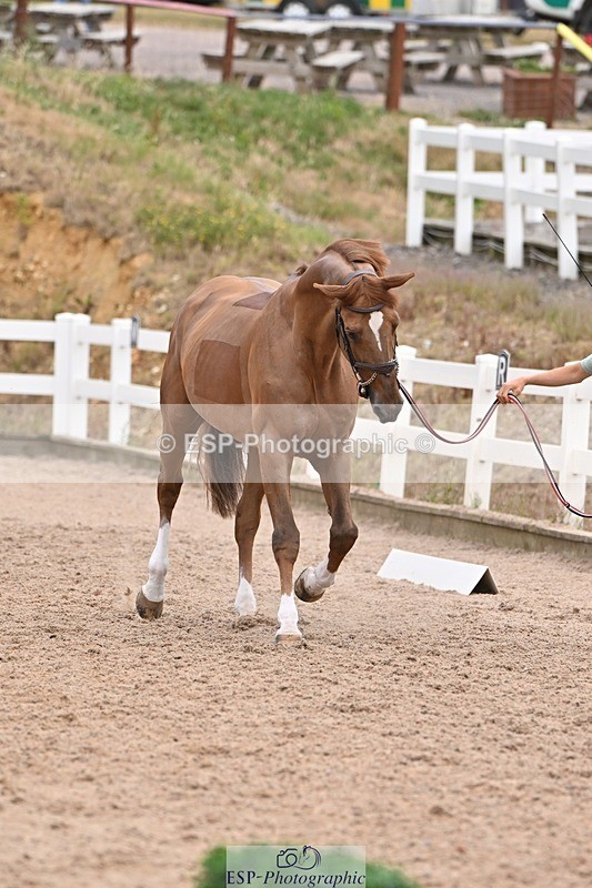 250716-143348-01196 - Trot Up 2.30 to 3.30