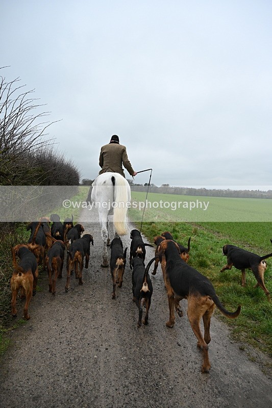 WJ7_9612 - Walk out..