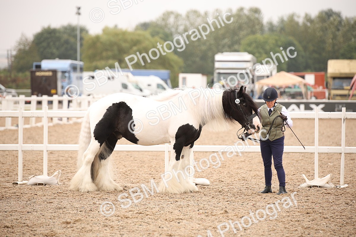 SBM_22118 - Class 707 - Ridden Groom-Helpers Class