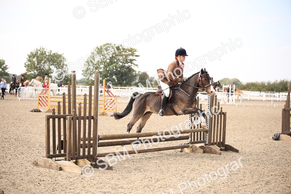 SBM_16075 - Class 408b - Working Veteran 70cm (20+)