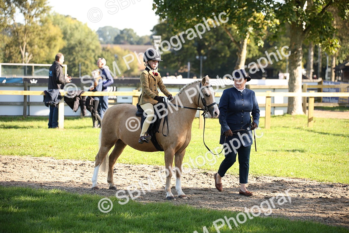 SBM_35718 - S9 - Lead Rein Equitation