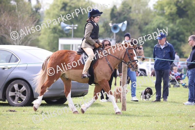 20260426-2916 - Class 33 - Best Pony 14.2hh and Under
