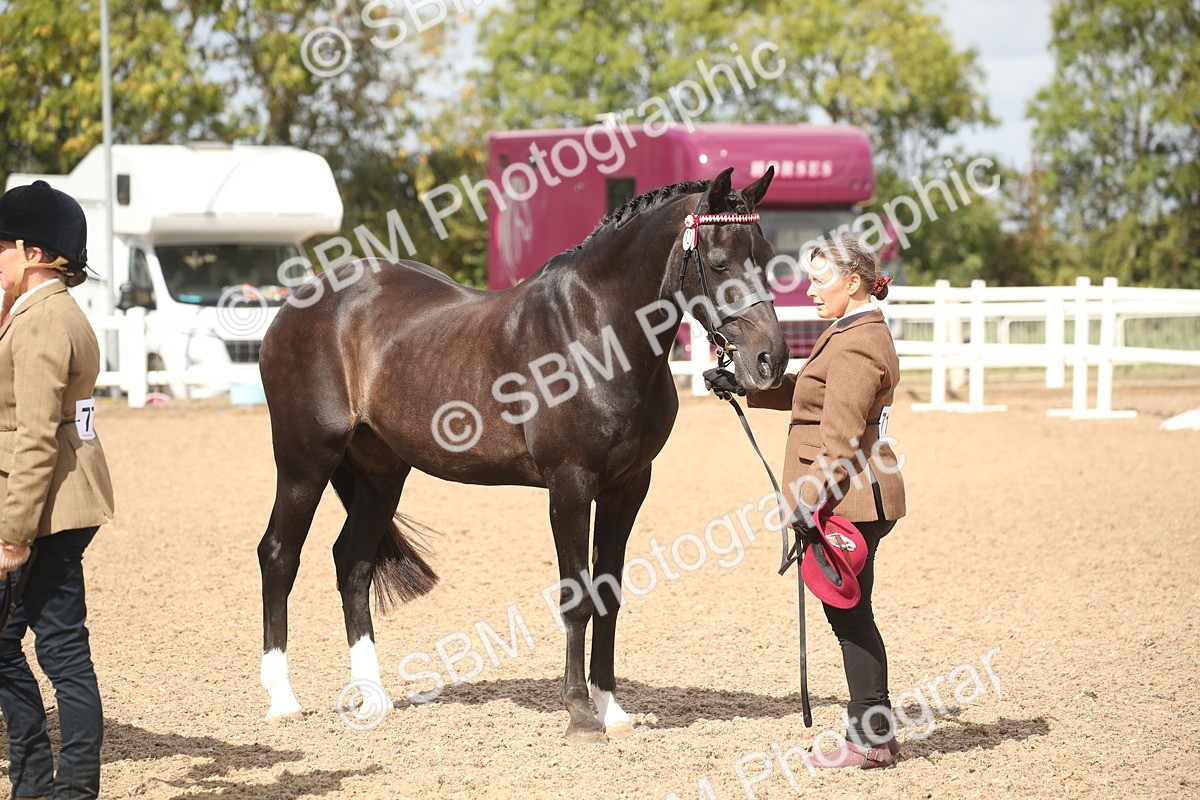 SBM_23470 - Class 604 - 2026 - Area IH Diamond