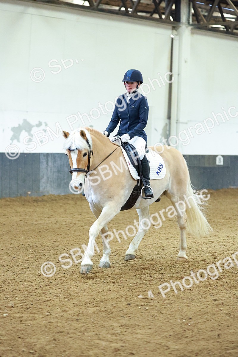 SBM_003904 - Novice 2