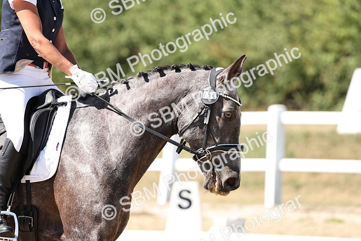 SBM_003298 - Prelim 4 - 13.41-16.04